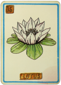 Cartouche Card - Lotus